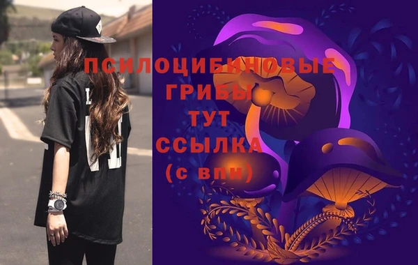 ALPHA-PVP Усинск